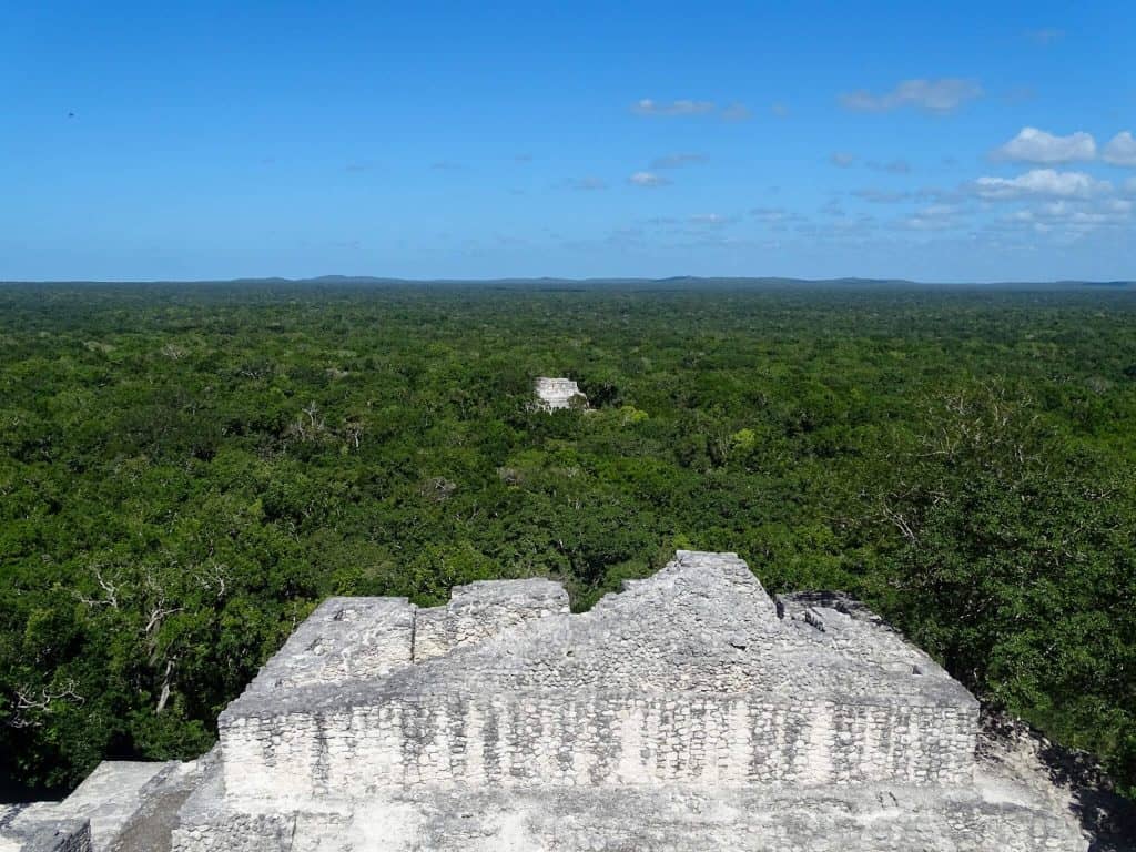 selva calakmul